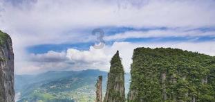 驱灵师