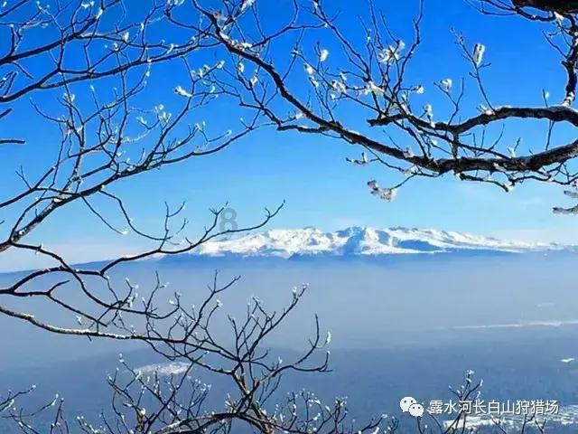 逃离残破的机舱