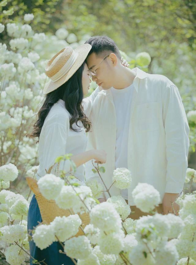 植物大战僵尸7